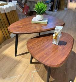Table Basse Duo de Salon Moderne en gigogne