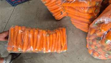 Notto agro-fournisseur