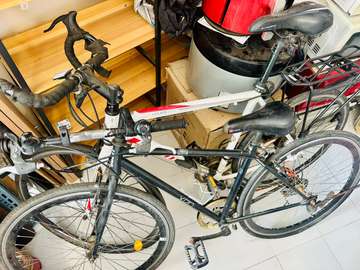 VELO