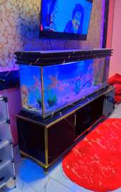 Très jolie et  grand Aquarium de 250 Litres et 1m50 de long