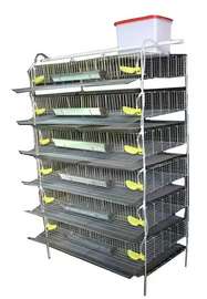 Cage Caille