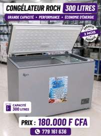 Congélateur 200 litres Roch