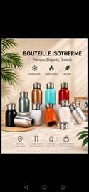Bouteille isotherme inox 350ml sans BPA couleurs variées