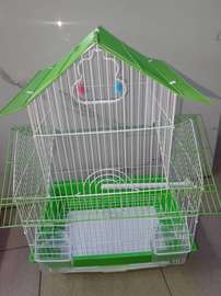 Cage oiseaux