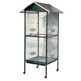 Cage Oiseaux Domestique