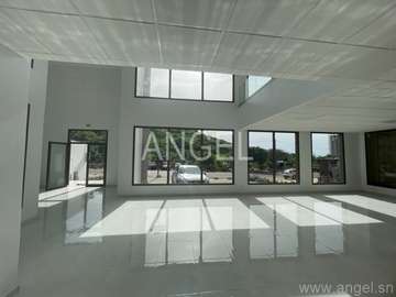 Réf_7114_GL – Showroom avec plateaux de bureaux et entrepôts