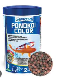 Aliment poisson Pondkoi Color