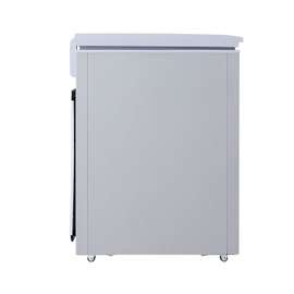 CONGELATEUR LG HORIZONTAL 300LITRES