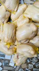 Poulet de chaire