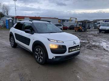 C4 Cactus