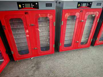 COUVEUSE A OEUF  CAPACITE 1000 & 400 disponible