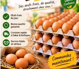 Vente d'oeufs