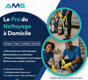 NETTOYAGE PRO A DOMICILE