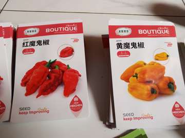 Semences piments