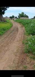 Terrain d’angle agricole ou habitation