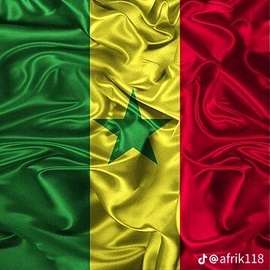 Drapeau Sénégal en soie 90x60 cm couleurs vives