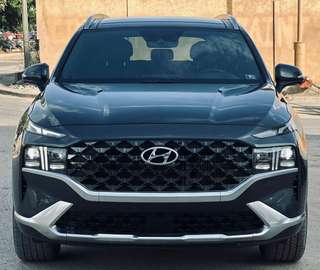 Hyundai Calligraphy 2022