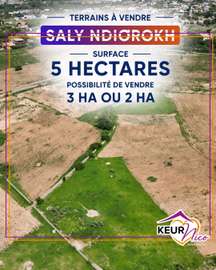 Terrain de 5 Hectares à vendre à Saly