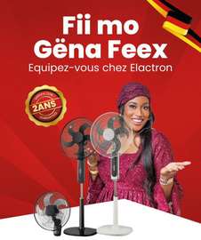 ventilateur electron silencieux