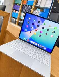 iPad Pro 13" M4 (16 Go RAM / 1 To SSD / 5G )