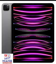 iPad Pro m2 256 go