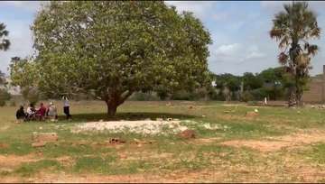 Terrain à vendre à keur moussa