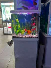 Aquarium