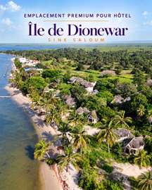 Domaine à vendre à Dionewar