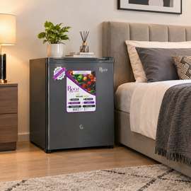 REFRIGERATEUR ROCH MINI BAR 1 PORTES GRIS RFR60SI