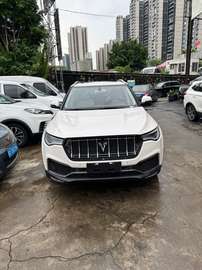Zotye t700