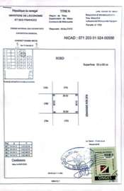 Malicounda terrain 300m2 à vendre
