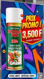 Somafix Peinture en spray (toutes les couleurs)