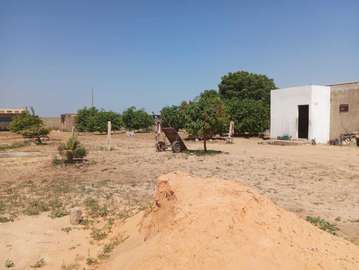 Verger de 8112 m2 à vendre à Bambilor