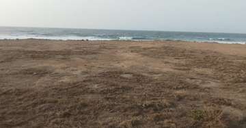 TERRAIN 3002 m²  PIEDS DANS L'EAU ALMADIES