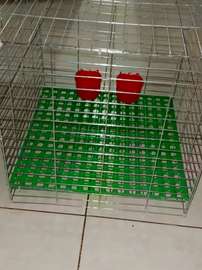 Cage lapin Chat chien poule pigeon