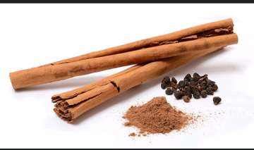 Cannelle aromatique