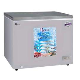 Congélateur 300 litres roch