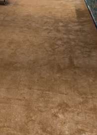 Tapis moquette à offrir