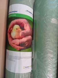 Chore-Time papier absorbant vert clair pour couveuse