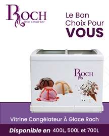 congélateur  vitrine à glace Roch  400L 500L 700L