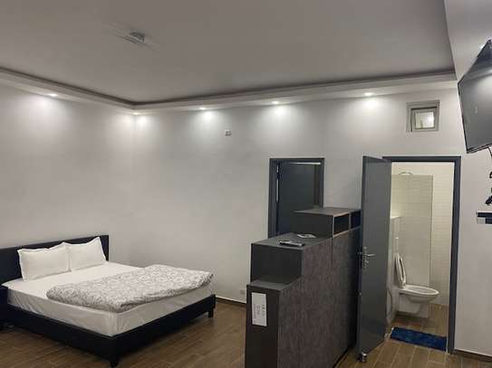 Studio meublé à louer au Front de terre image 9