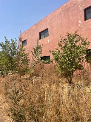Usine de 3ha commercial sis kiniabour image 12