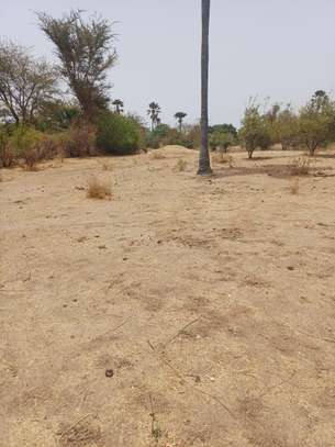 Verger 3ha à vendre à Ndianda Ngeuniène sur la route de joal image 6