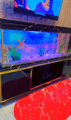 Très jolie et  grand Aquarium de 250 Litres et 1m50 de long image 3