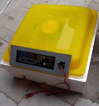 Couveuse automatique neuve image 2
