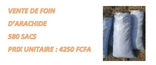 Vente de foin d'arachide image 1