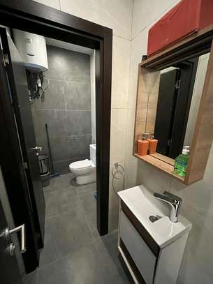 Très beau studio F2 image 10