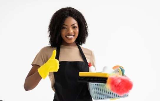 Demande d’emploi femme de ménage image 1