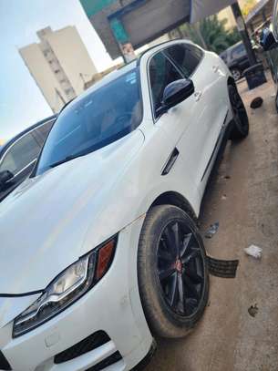 Jaguar essence image 2