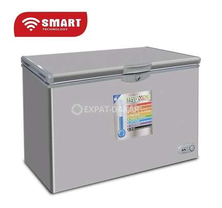 Congélateur 300 litre smart image 1